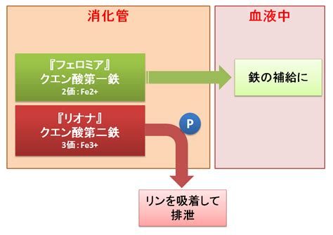 リオナ (クエン酸第2鉄水和物) 日本たばこ=鳥居 [処方薬]の解説。